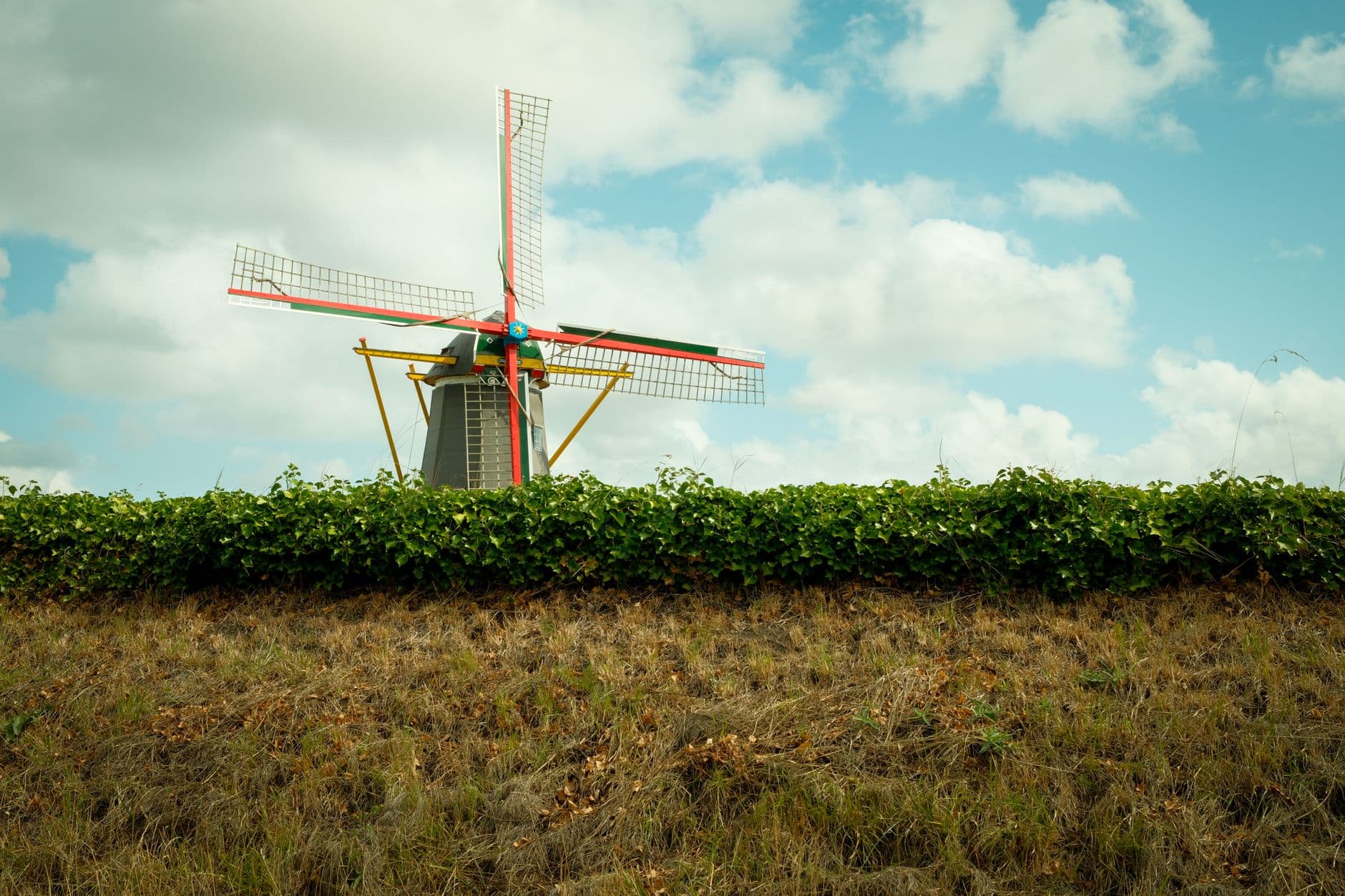 Traditionele stenen windmolen achter een groene haag onder een blauwe lucht met wolken